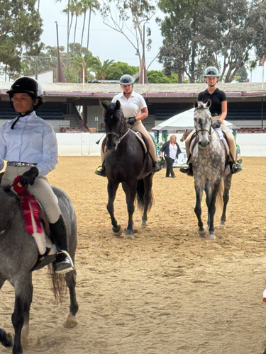 2018reg2 futurity maturity winner