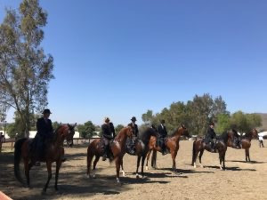 2020 championship show 3899x100000