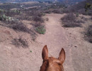 meagan shaffer trail ride2