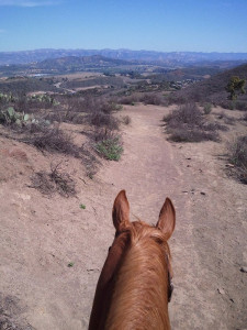 meagan shaffer trail ride2