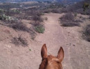 meagan shaffer trail ride2x100000