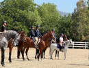 img260  