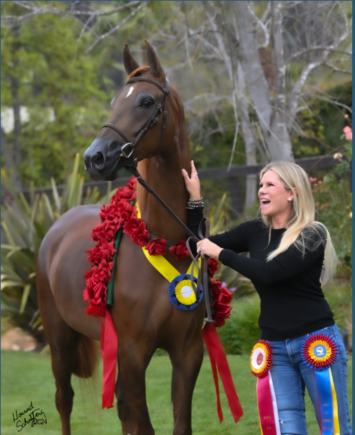 katie with horse